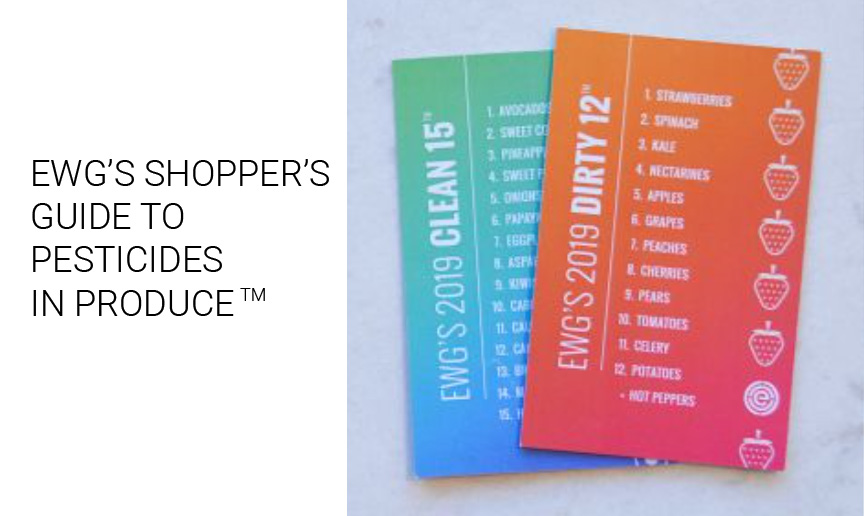 ewg2019-graphic